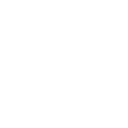 Swiss Venture